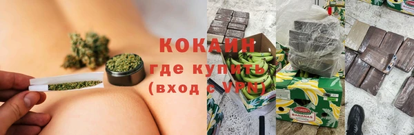 сатива Верея
