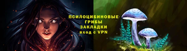 соль ск Вязьма
