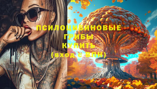 дмт Медногорск
