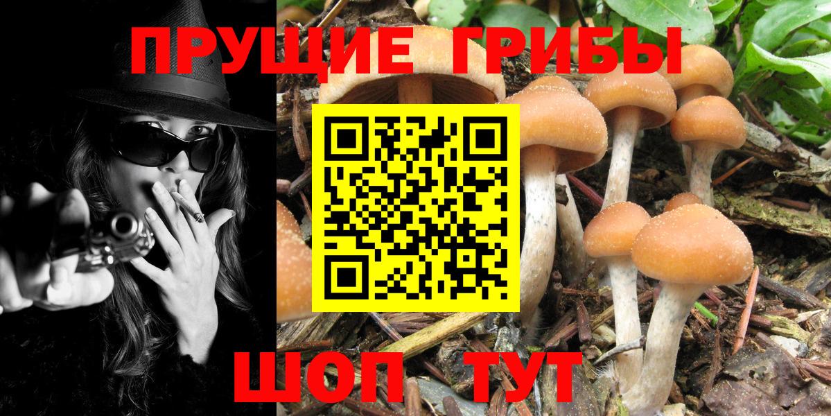 Галлюциногенные грибы мухоморы Ялуторовск