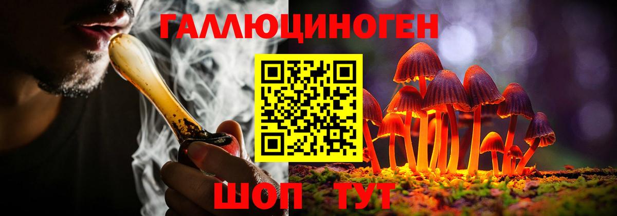 Псилоцибиновые грибы Psilocybine cubensis  Вход с VPN  Ялуторовск  Галлюциногенные грибы Magic Shrooms 
