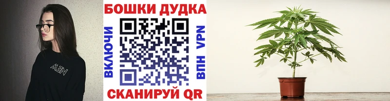 Бошки марихуана планчик Ялуторовск